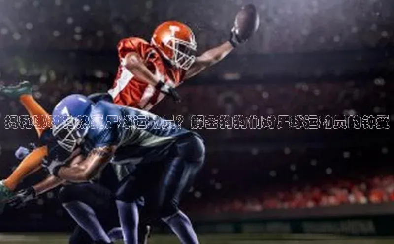 beat365官网 网页版梯哥哥科技揭秘哪种狗热爱足球运动员？解密狗狗们对足球运动员的钟爱