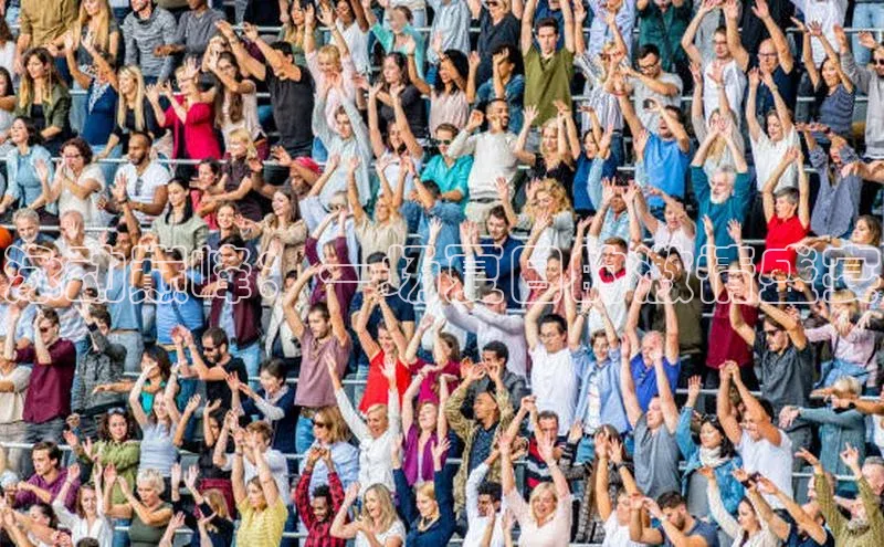 泳动巅峰：一场夏日的激情盛宴