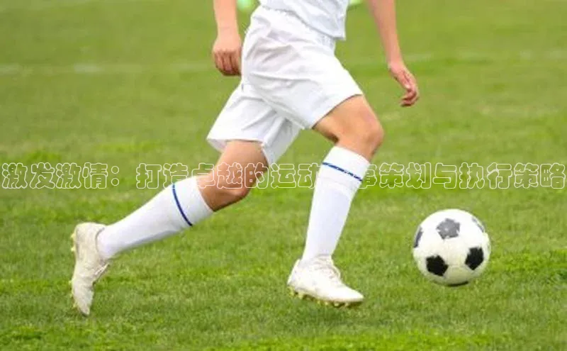 激发激情：打造卓越的运动赛事策划与执行策略