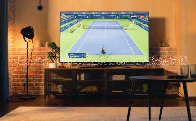 中国力量：2023年度国内体育盛事与深度分析