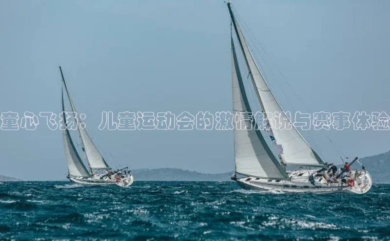 童心飞扬：儿童运动会的激情解说与赛事体验