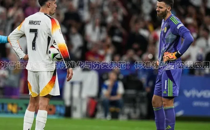 冰雪运动赛事的标准化与分类规范：标准体系与实践应用