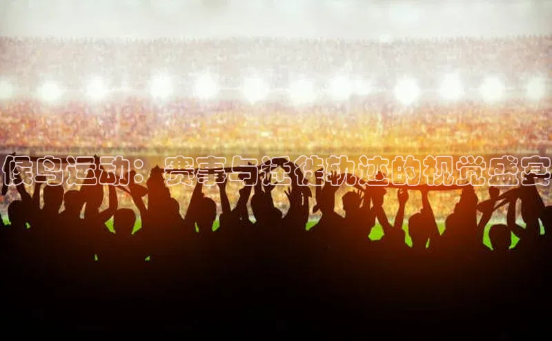 候鸟运动：赛事与迁徙轨迹的视觉盛宴