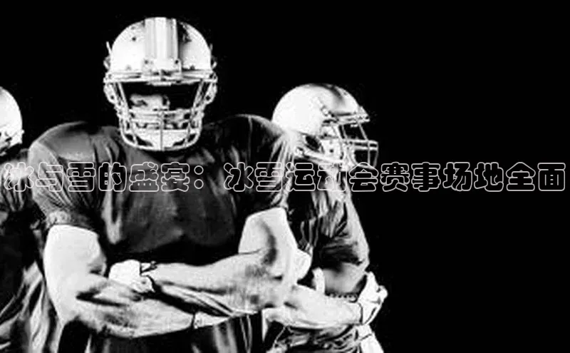 冰与雪的盛宴：冰雪运动会赛事场地全面