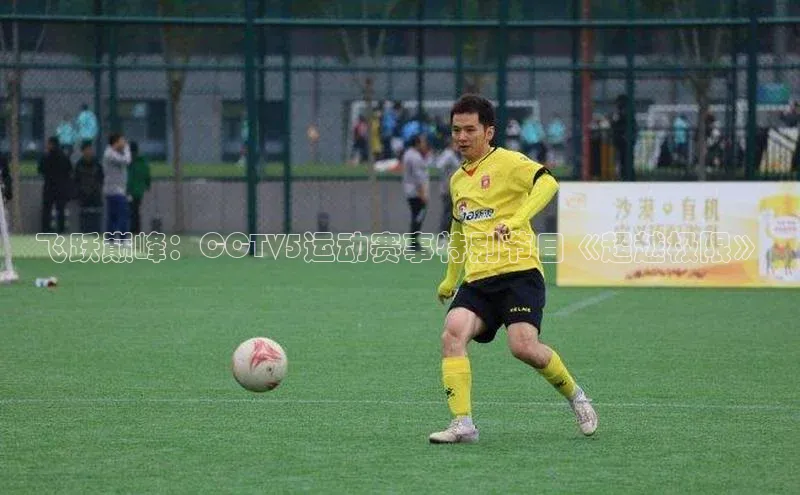 飞跃巅峰：CCTV5运动赛事特别节目《超越极限》