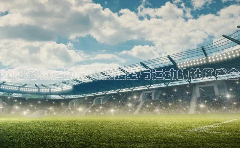 襄阳宠物运动会：连接爱与运动的社区盛会