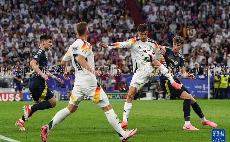 beat365安卓版下载