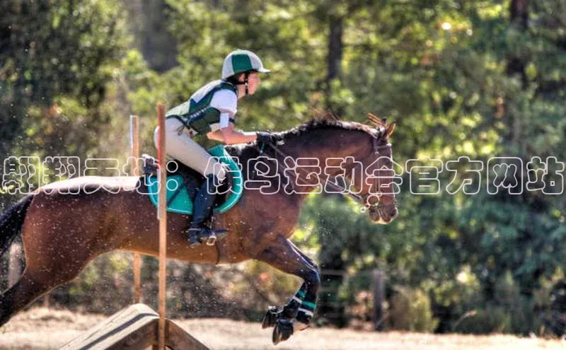 beat365全站官网最新版本