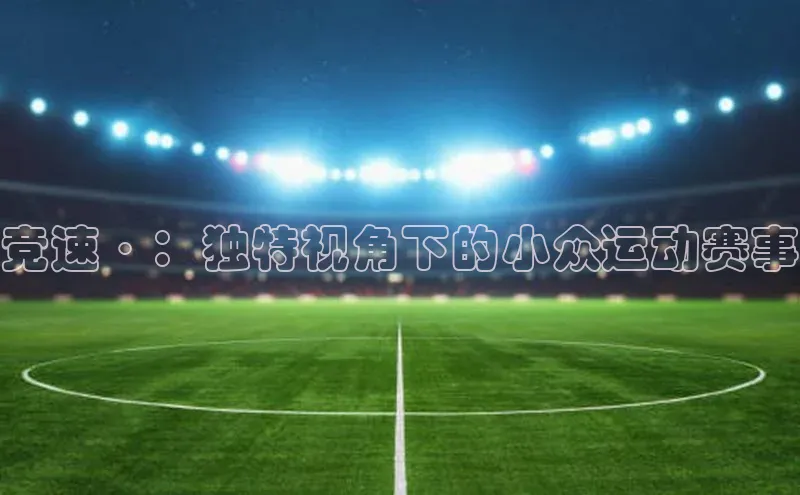 竞速·：独特视角下的小众运动赛事